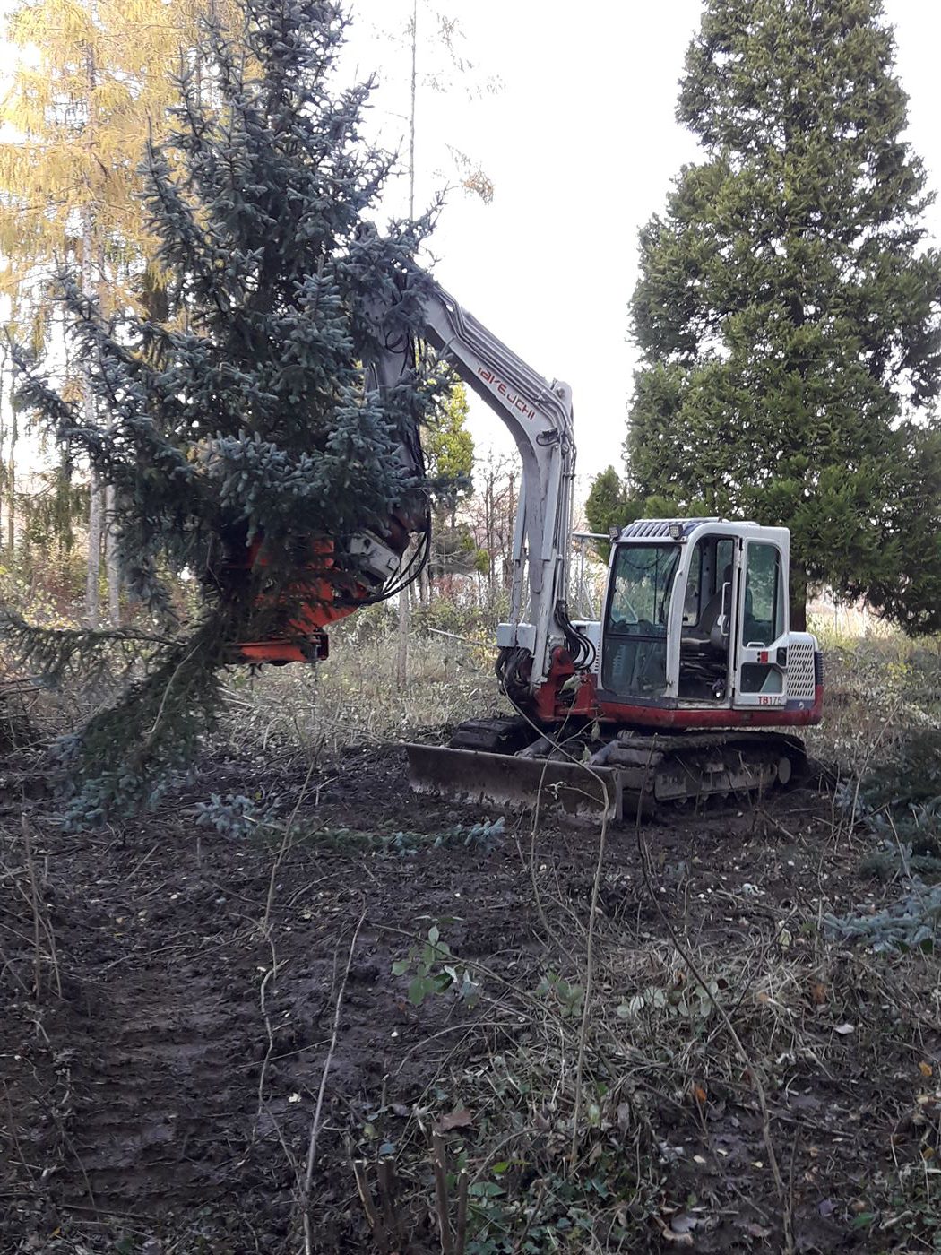 eb-galerie-unterseite-rodungen-0002