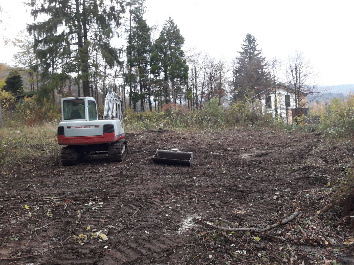 eb-galerie-unterseite-rodungen-0003